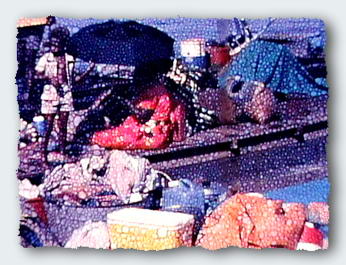 The pile of junk sent by Fisheries to supply the expedition.