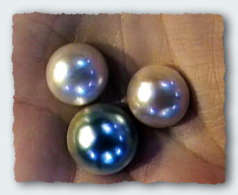 Blister half-pearls made by Dennis and Yuli.