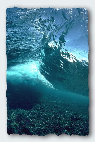 A wave breaking on a coral reef, seen from underwater.