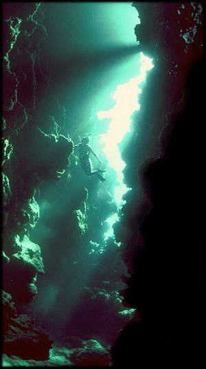Deep furrows and creavaces in the reef structure allow divers to penetrate into the layers recording all of the past behaviors of the coral reef creatures. 