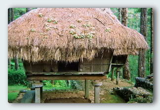 A Philippine Dream House 