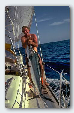Catching a big billfish can be dangerous. They really do know how to use that needle-sharp bill.
