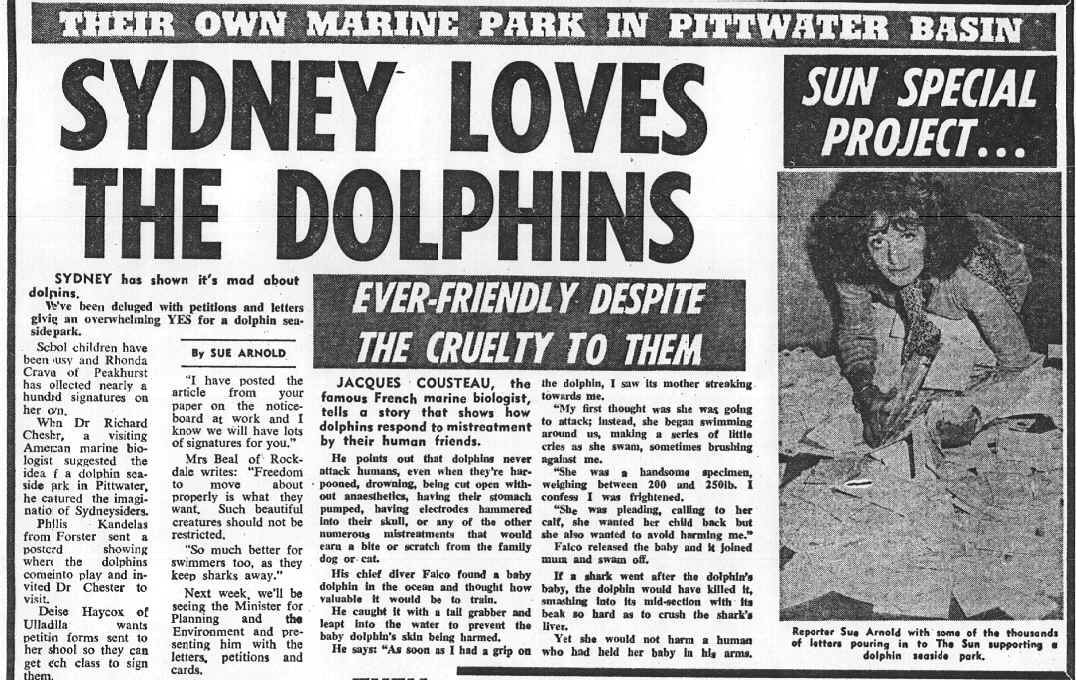 Sun Herald Dolphin Liberation article