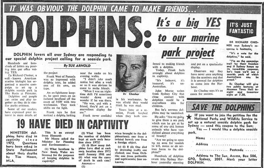 Sun Herald dolphin series