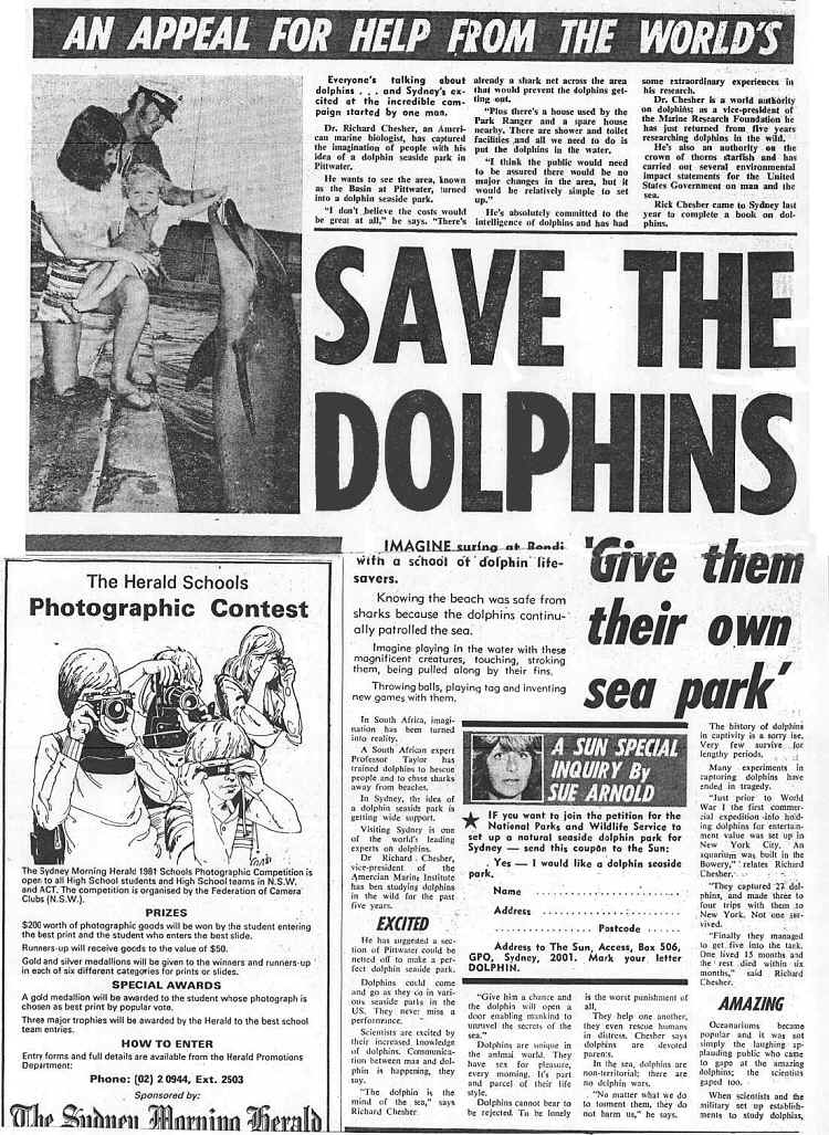 Dolphin article in Sun Herald