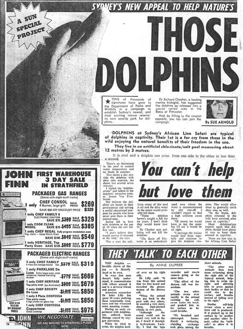 The Sun's Dolphin Project.