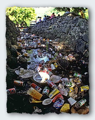 Just maybe they would not trash themselves this way. The creek next to the market in Pago Pago 