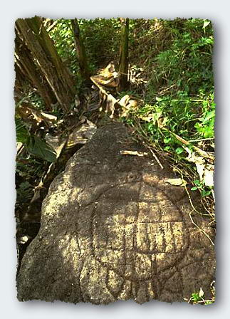 A petroglyph of a turtle adorns a hillside overlooking a beautiful bay in Tutuila.