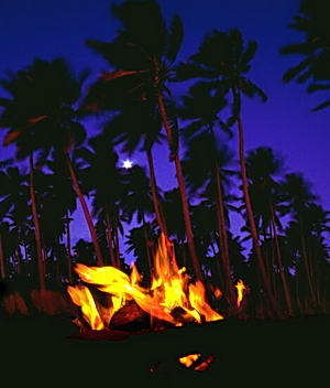 A fire burns coconut husks and leaves, releasing the carbon dioxide, water, minerals and sunlight that the coconut dream used to create itself in the first place.� http://www.this-magic-sea.com/order.html