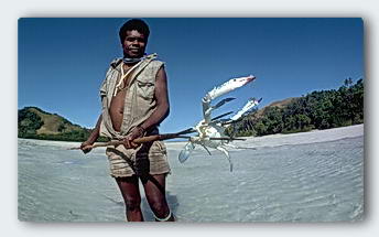 A Fijiian fisherman out spearing whatever moves on the sand flat off Malololailai 