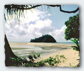 Nukutapu, the magic island, a place of power.� http://www.this-magic-sea.com/order.html