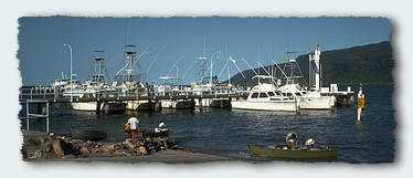 The sport fishing charter boat wharf in Cairns. This is where we always tied up the dinghy.